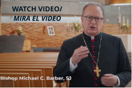 WATCH VIDEO/MIRA EL VIDEO