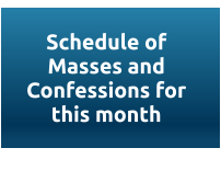 Schedule of Masses and Confessions for this month